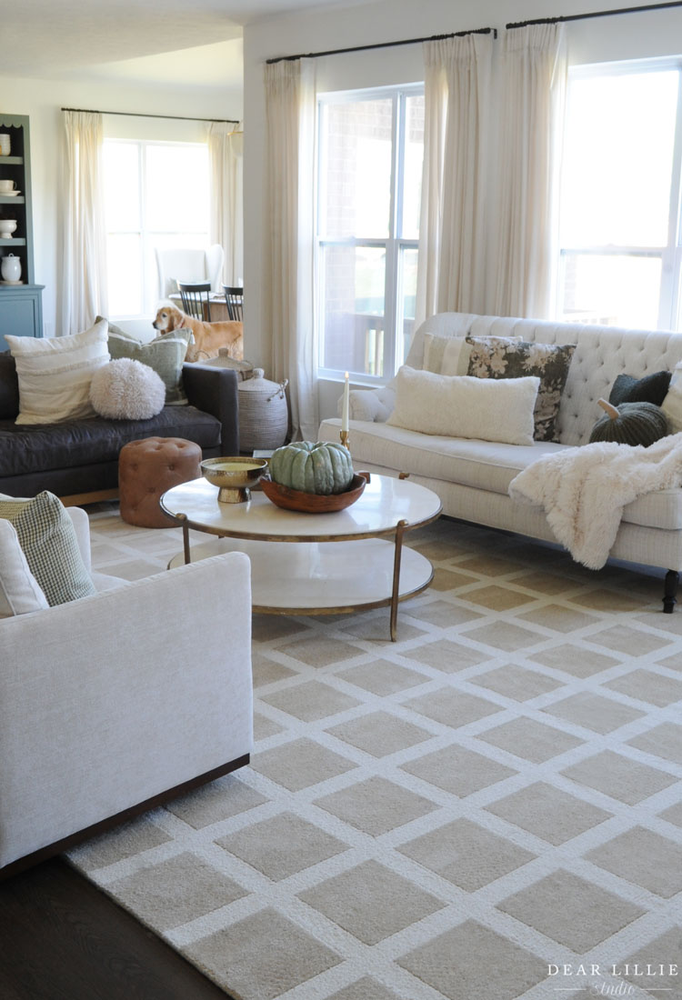 Cozy Living Room Rug