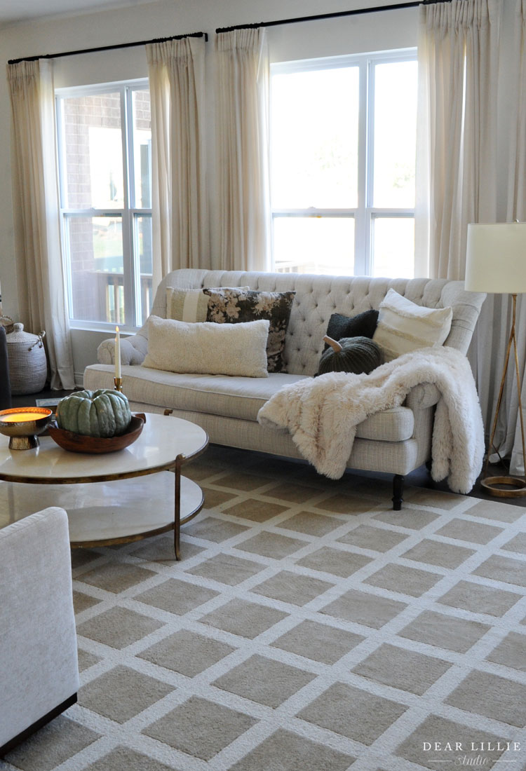 Cozy Living Room Rug