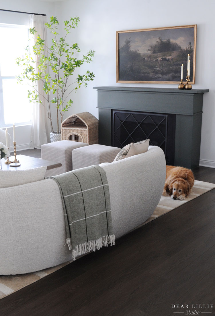 Neutral Living Room with Green